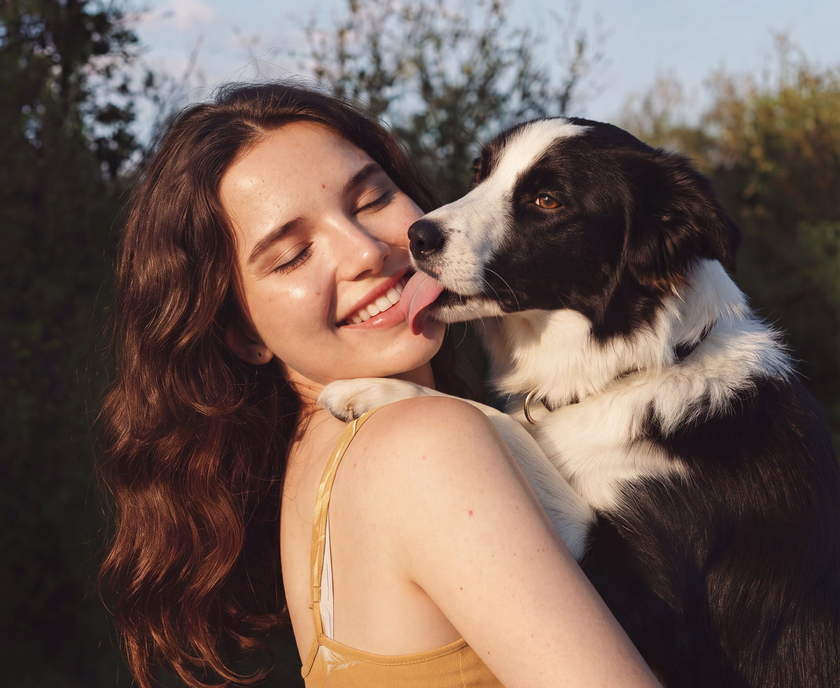 Pasture and Paws