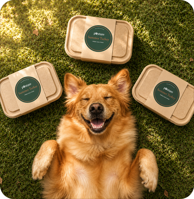 Portioned for Vitality