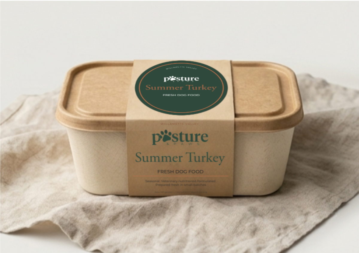 A square biodegradable container for dog food with a brown kraft paper lid and a matching paper band label reading 'posture Summer Turkey Fresh Dog Food,' placed on a light beige cloth against a white background.