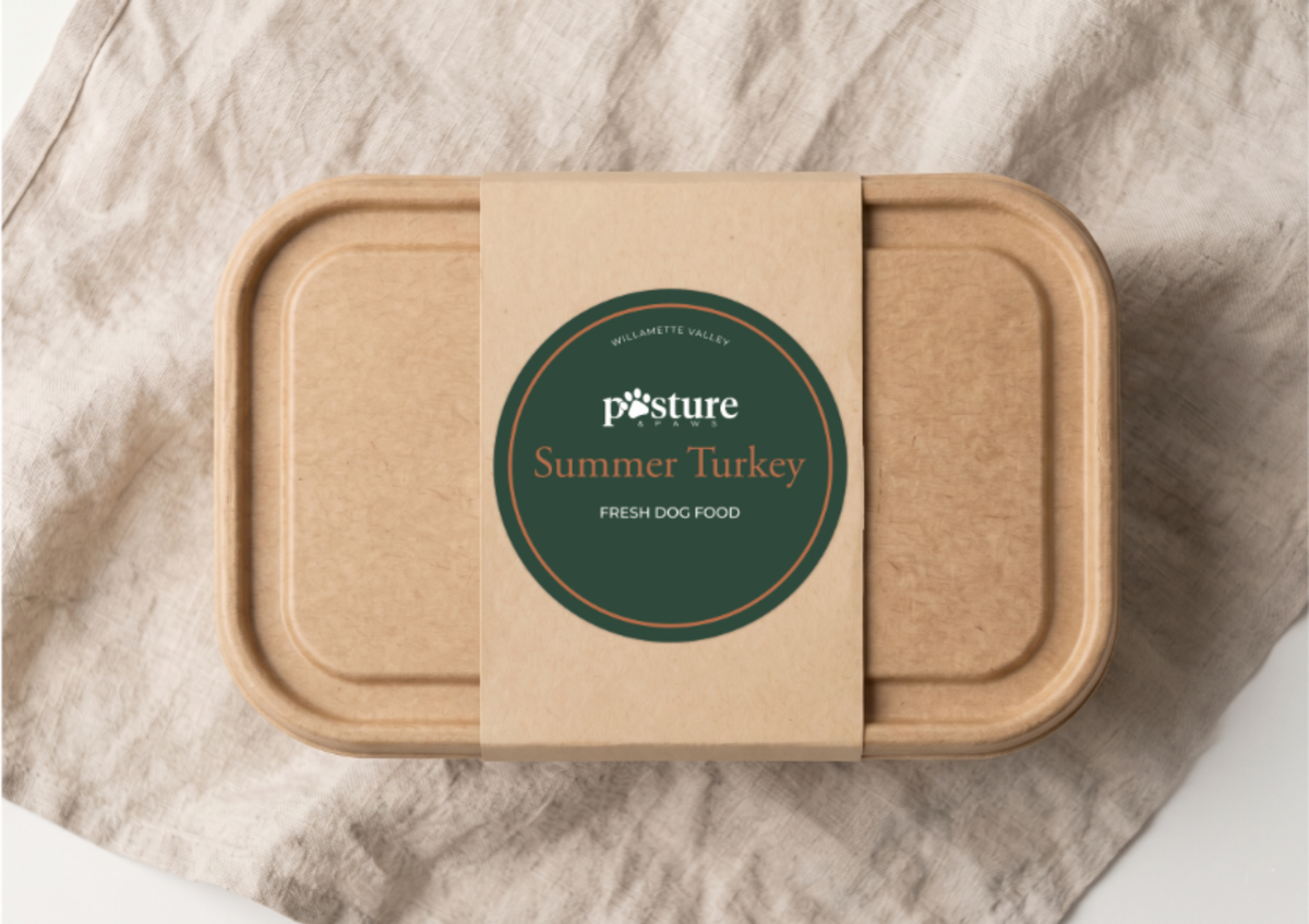 A square kraft paper food container with rounded corners and a paper band label reading 'posture Summer Turkey FRESH DOG FOOD,' photographed from above on a beige fabric surface.